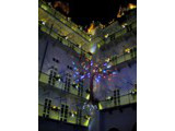 ''Vertical Garden''